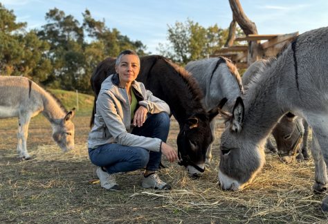 Frau hockt vor vier Eseln auf der Weide des Rietzer Bergs.