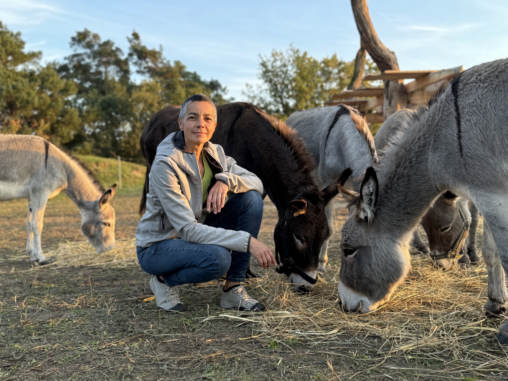 Frau hockt vor vier Eseln auf der Weide des Rietzer Bergs.